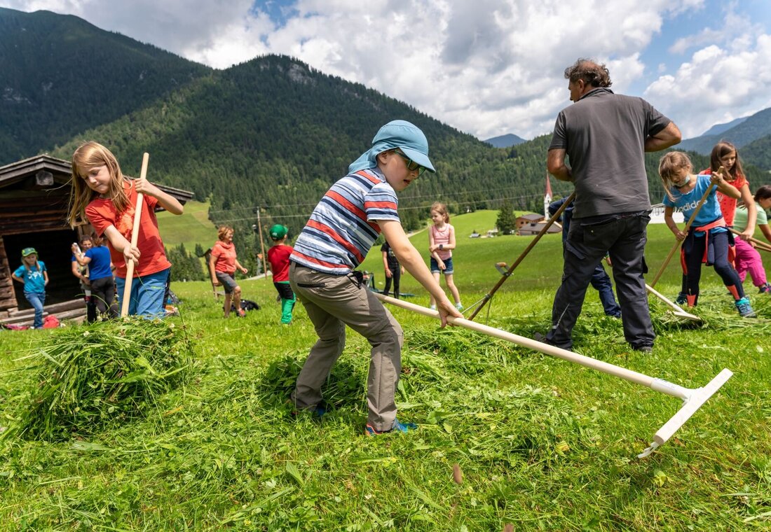 Kinder arbeiten am Bauernhof