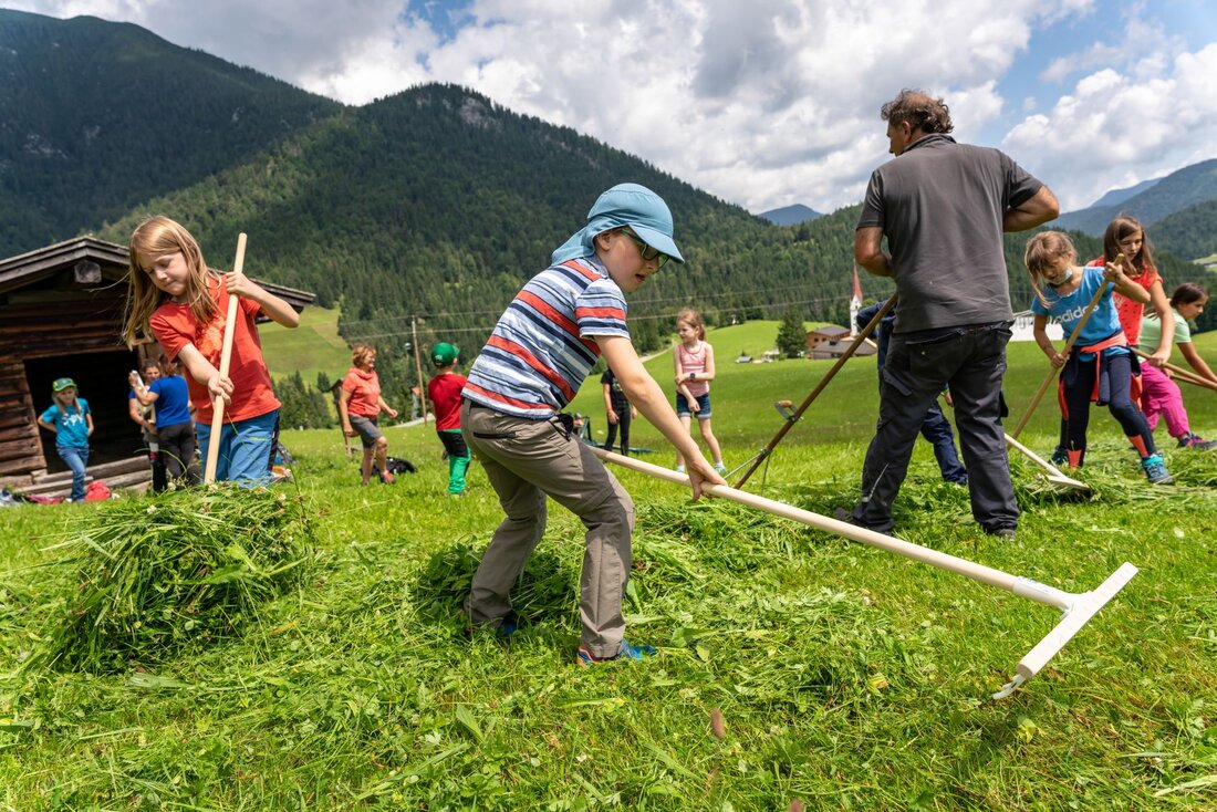 Kinder arbeiten am Bauernhof