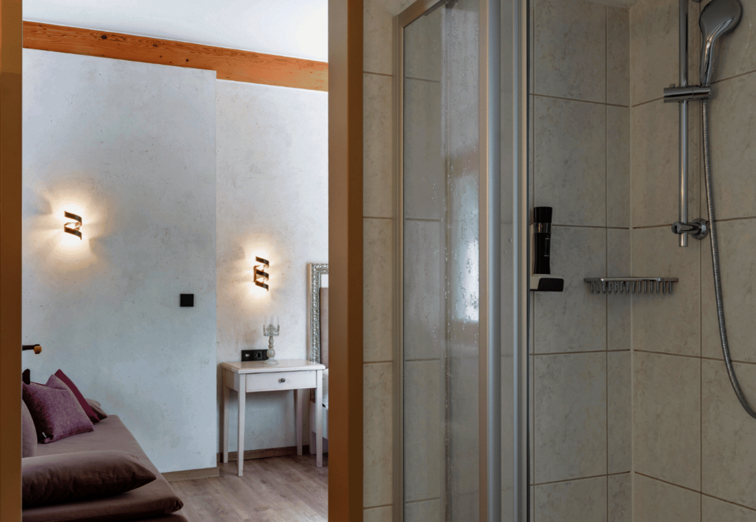 Dusche mit Sicht ins Zimmer