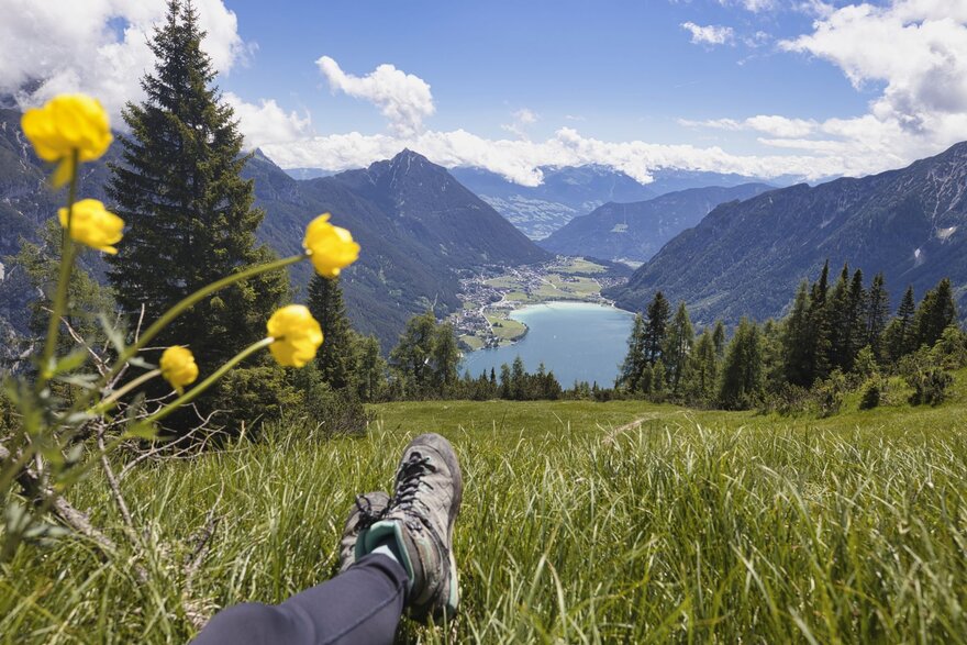 Blumenwiese über dem Achensee