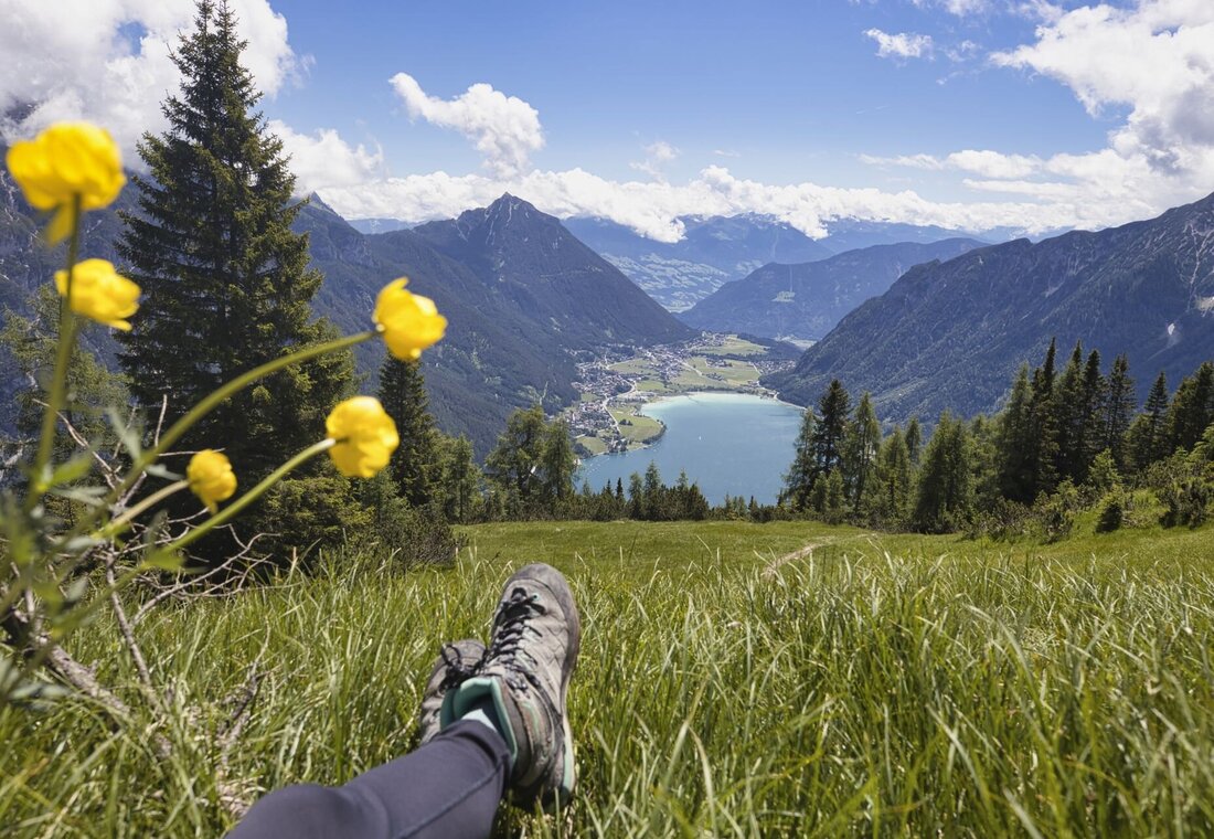 Blumenwiese über dem Achensee