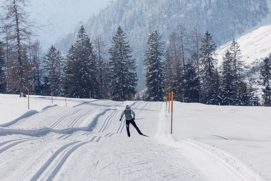 Langläufer mit Wälder im Hintergrund