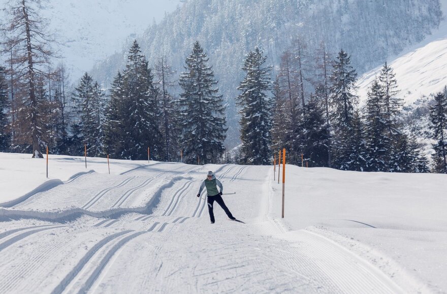 Langläufer mit Wälder im Hintergrund